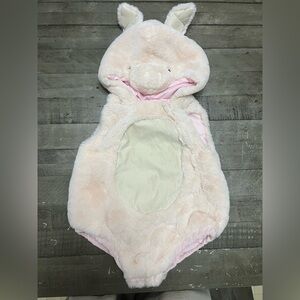 Pottery Barn Pig Costume